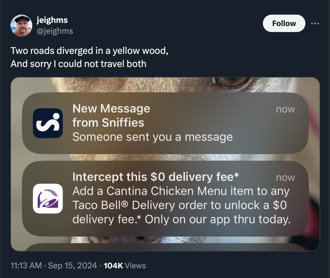 screenshot - jeighms Two roads diverged in a yellow wood, And sorry I could not travel both S. New Message from Sniffies Someone sent you a message now Intercept this $0 delivery fee now Add a Cantina Chicken Menu item to any Taco Bell Delivery order to u